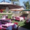 Wallace Bridal Shower Site