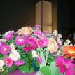 Barahona Wedding