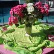 Sharma Flowers