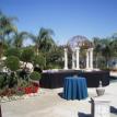 Freeborn Wedding