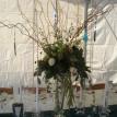 Freeborn Wedding