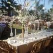 Garza Wedding