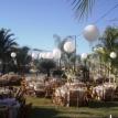 Garza Wedding