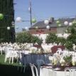 David Wedding