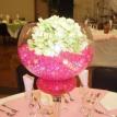 Dixon Wedding 